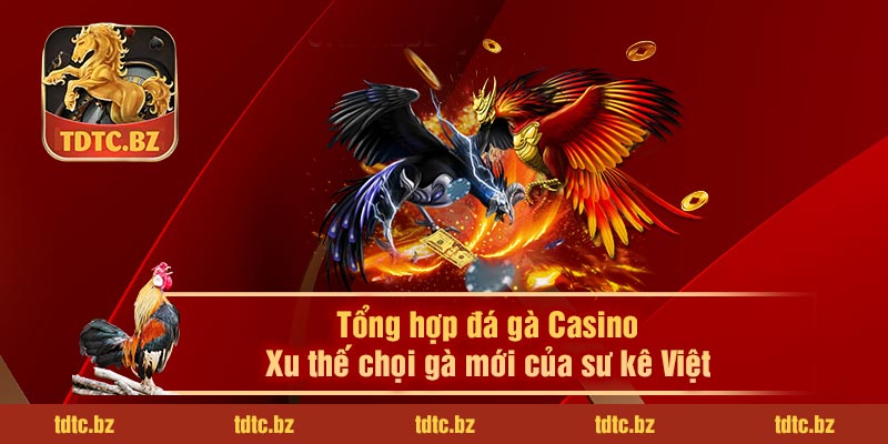 Tổng hợp đá gà Casino - Xu thế chọi gà mới của sư kê Việt